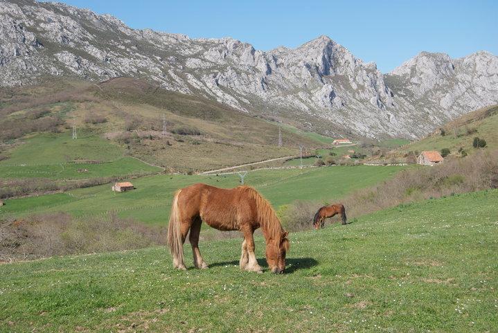 Pensjonat El Molino De Cicera Zewnętrze zdjęcie
