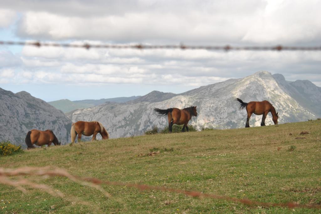Pensjonat El Molino De Cicera Pokój zdjęcie